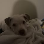 Sierra Schrader - Facebook