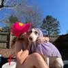 Sierra Spring - @sierra.spring4 - TikTok