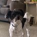 Zora Standifer - Facebook