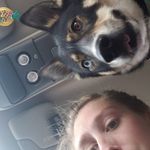 Sierra Sutton - @deerblood18 - Instagram