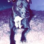sierra p crowder swartz - @bmw_swartz_ - Instagram