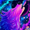 sierraswartz791 - @wolfymidnight3 - TikTok
