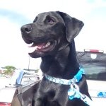 Sierra Tucker - @sierra_puppydog - Instagram