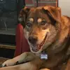Sierra_girl - @tysonsierra - TikTok