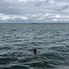 Sierra - @sierra_wagner - TikTok