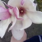 Sierra Welch - @batman_my_bff - Instagram