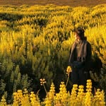 sierra 𓅪 - @sierrawells - Instagram