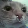 ☆SIERRA☆ - @sierra..wells - TikTok