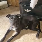 Sierra Whaley - Facebook