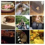sierra wheaton - @sierra.wheaton_9674 - Instagram
