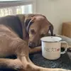 Sierra Wilde - @sierra.wilde - TikTok