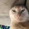 sierra - @sierra..yates - TikTok