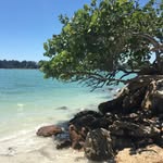 Siesta Key Beach - @siesta.key.beach - Instagram