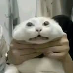 Siêu Lâm - Facebook
