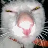 bakino xạo lòn🍱 - @sieulucsi - TikTok