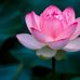 Siêu Luong - Facebook