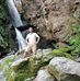 Sieu Luong - Facebook
