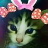 Cheah Siew fen - @cheahsiewfen - TikTok