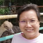 Cheah Siew Ming - @siewmingcheah - Instagram