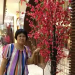 Siew May Cheah - @siewmaycheah - Instagram