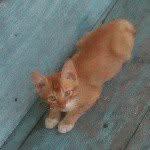 Siew Ying Cheah - @siewying.cheah - Instagram