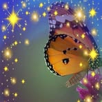 Siew Cheng - Facebook