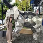 Siew Cheng Lee - Facebook
