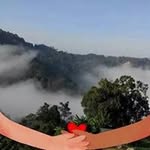 siew cheong - @siew.cheong - Instagram