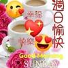 Liew Siew - @liewsiew - TikTok