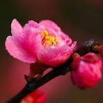 Siew Mui - Facebook