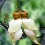 Liew Hui Lian - @liew.siewtang - Instagram
