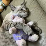 Siew Chin Tang - @siew.c.tang - Instagram