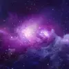 siewthong_ - @2168359458 - TikTok