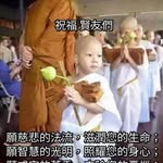 To Ma Siew Thong - @tomathong - Instagram