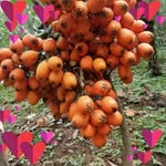 Wan Siew Thong Ni - @spahwansiew - Instagram