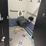 @sigrogichpisser - Instagram