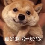 Siheng.Li - @siheng.li1 - Instagram