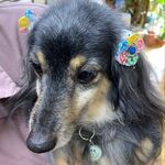 栩山誠四郎 - @chengsilangxushan - Instagram
