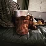 Silas Atkinson - @atkinson_silas_ - Instagram