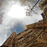 Silas Baird - @silasbaird - Instagram