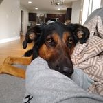 Silas  Baker - @silasthedoof - Instagram
