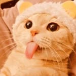 Silas Barnes - @catluvr269 - Instagram