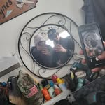 Silas Barton - @silas295 - Instagram