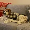 Silas Bauer - @silas.yzerman - TikTok