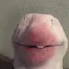 silasblanton - @silasblanton - TikTok