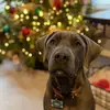 Silas Boone - @silas.boone2025 - TikTok