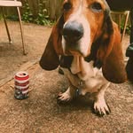 Silas T. Boone - @senator.silas - Instagram