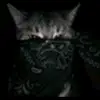 SilasBoone - @silasboone - TikTok