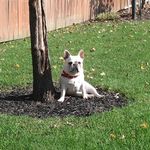 Silas Bowman-Minter - @squishyfacesilas - Instagram