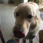 Silas Boyd - @smboyd_44 - Instagram